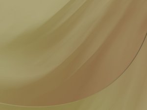 技术核心概念详解